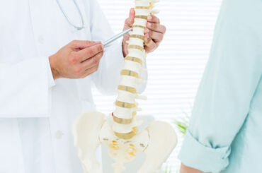 Spine Anatomy